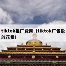 tiktok推广费用（tiktok广告投放花费）