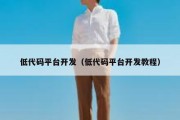 低代码平台开发（低代码平台开发教程）