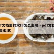 pdf文档里的水印怎么去除（pdf文档免费加水印）