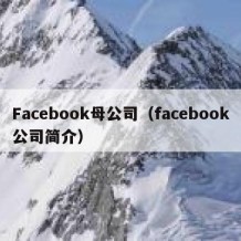 Facebook母公司（facebook公司简介）