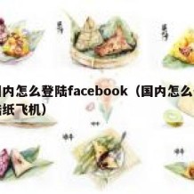 国内怎么登陆facebook（国内怎么登陆纸飞机）
