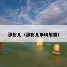 涨粉儿（涨粉儿米粉加盟）