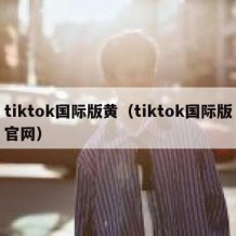 tiktok国际版黄（tiktok国际版官网）
