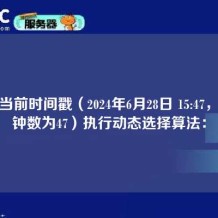 根据当前时间戳（2024年6月28日 15:47，即分钟数为47）执行动态选择算法：