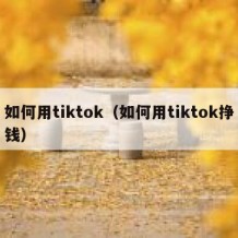 如何用tiktok（如何用tiktok挣钱）