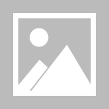 deepseek是什么（deepseek是什么类型的ai）