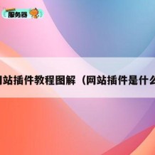 网站插件教程图解（网站插件是什么）