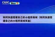 如何快速搭建自己的小程序商城（如何快速搭建自己的小程序商城页面）