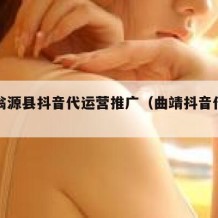 韶关翁源县抖音代运营推广（曲靖抖音代运营）