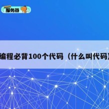 编程必背100个代码（什么叫代码）
