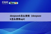 deepseek怎么使用（deepseek怎么使用api）