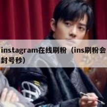 instagram在线刷粉（ins刷粉会封号秒）