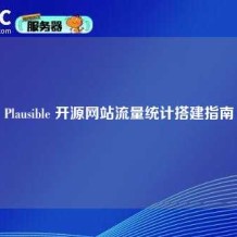 Plausible 开源网站流量统计搭建指南