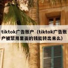 tiktok广告账户（tiktok广告账户被禁用里面的钱能转出来么）