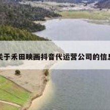 关于禾田映画抖音代运营公司的信息
