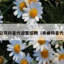 白山公司抖音代运营招聘（赤峰抖音代运营）