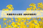 开源软件什么意思（啥叫开源软件）
