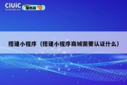 搭建小程序（搭建小程序商城需要认证什么）