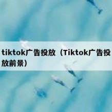 tiktok广告投放（Tiktok广告投放前景）
