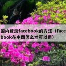 国内登录facebook的方法（facebook在中国怎么才可以用）