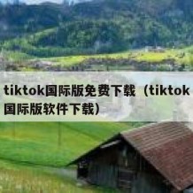 tiktok国际版免费下载（tiktok国际版软件下载）