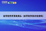自学软件开发有用么（自学软件技术有用吗）