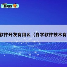 自学软件开发有用么（自学软件技术有用吗）