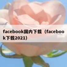 facebook国内下载（facebook下载2021）