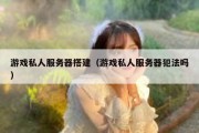 游戏私人服务器搭建（游戏私人服务器犯法吗）
