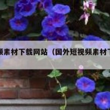 短视频素材下载网站（国外短视频素材下载网站）