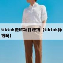 tiktok搬砖项目赚钱（tiktok挣钱吗）
