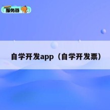 自学开发app（自学开发票）