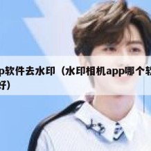 app软件去水印（水印相机app哪个软件最好）