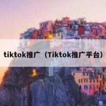 tiktok推广（Tiktok推广平台）