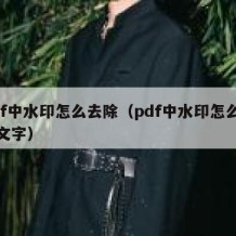 pdf中水印怎么去除（pdf中水印怎么去除文字）