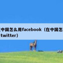 在中国怎么用facebook（在中国怎么用twitter）
