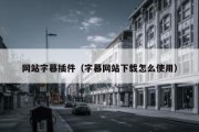 网站字幕插件（字幕网站下载怎么使用）