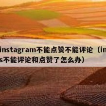 instagram不能点赞不能评论（ins不能评论和点赞了怎么办）