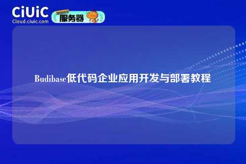 Budibase低代码企业应用开发与部署教程