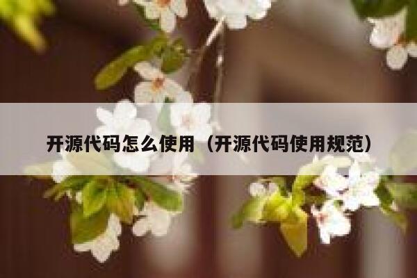 开源代码怎么使用（开源代码使用规范） 第1张