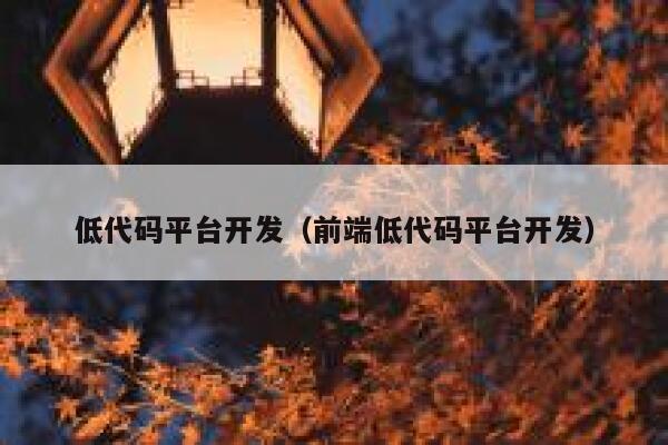 低代码平台开发（前端低代码平台开发） 第1张