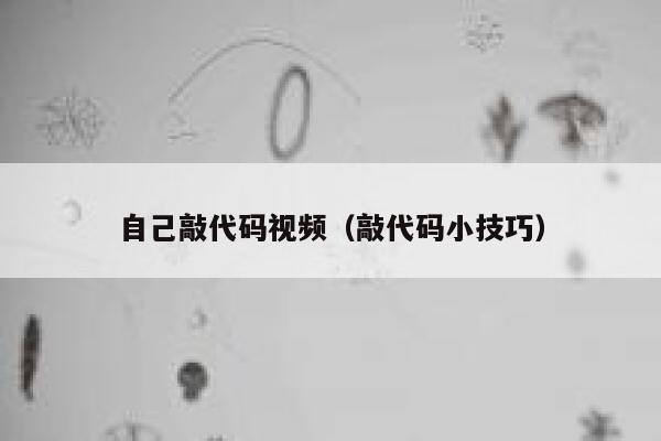 自己敲代码视频（敲代码小技巧） 第1张