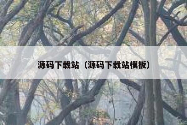 源码下载站（源码下载站模板） 第1张