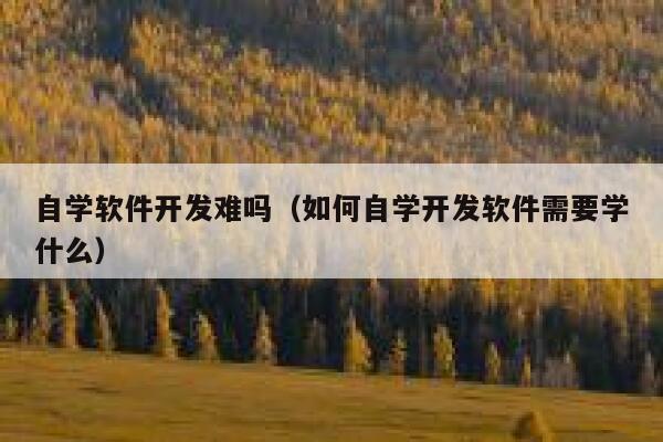 自学软件开发难吗（如何自学开发软件需要学什么） 第1张