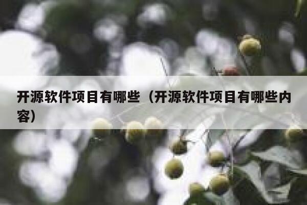 开源软件项目有哪些（开源软件项目有哪些内容） 第1张