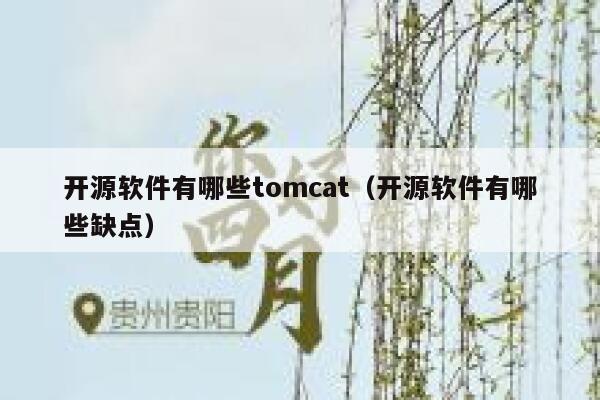 开源软件有哪些tomcat（开源软件有哪些缺点） 第1张