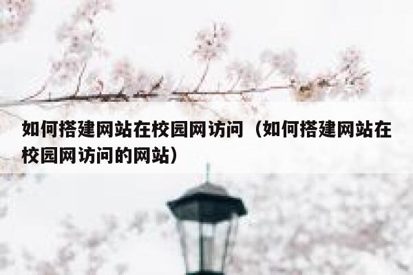 如何搭建网站在校园网访问（如何搭建网站在校园网访问的网站） 第1张