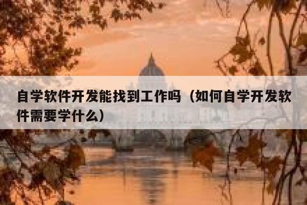 自学软件开发能找到工作吗（如何自学开发软件需要学什么） 第1张