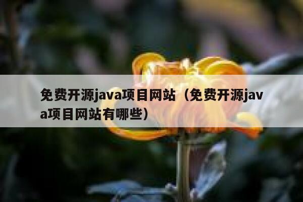 免费开源java项目网站（免费开源java项目网站有哪些） 第1张