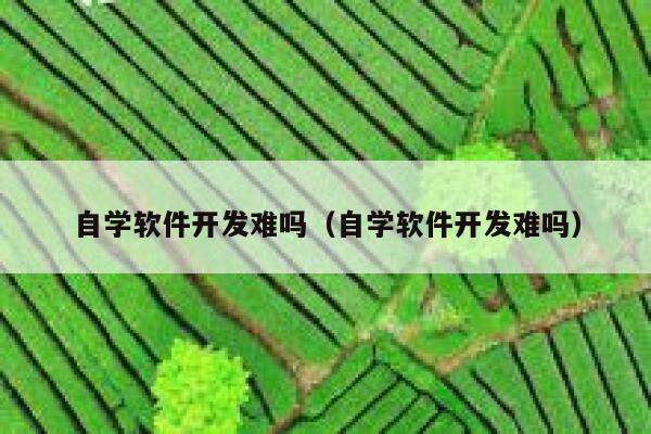 自学软件开发难吗（自学软件开发难吗） 第1张